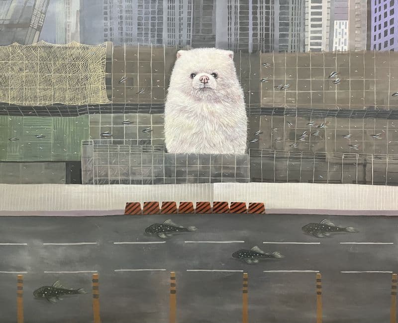 凝 視