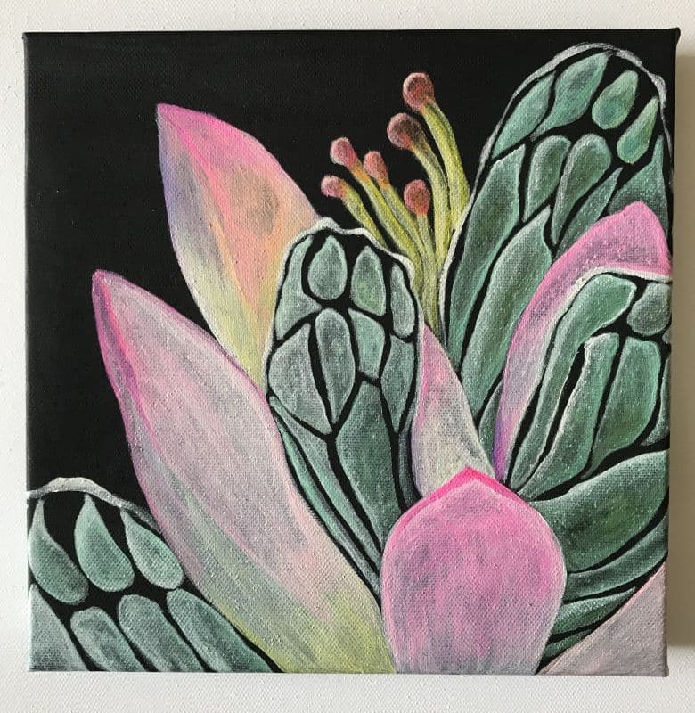 蝶花3號之一