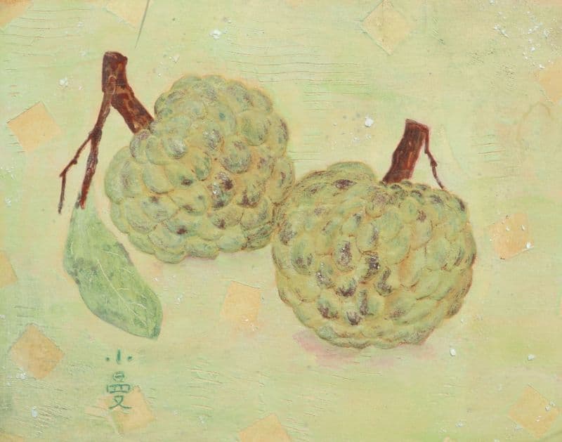 Sugar Apple | 釋 迦