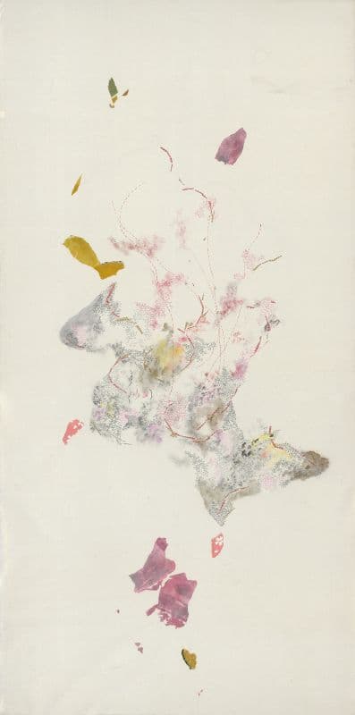 您金色的眼睛閃爍光芒