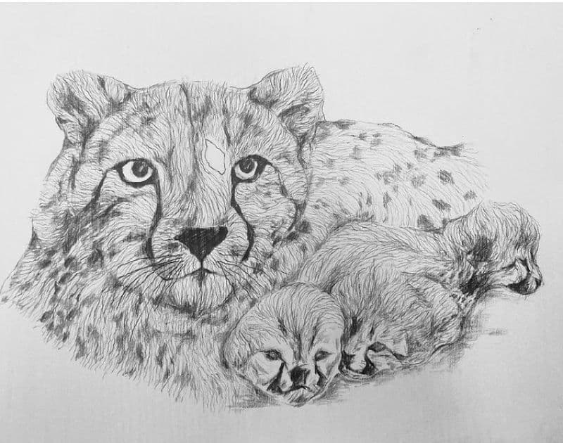 豹和他的小孩/Leopard with his children 1
