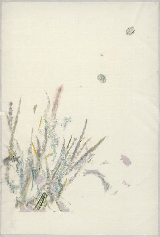 清晨的翅膀 Wings of the Morning