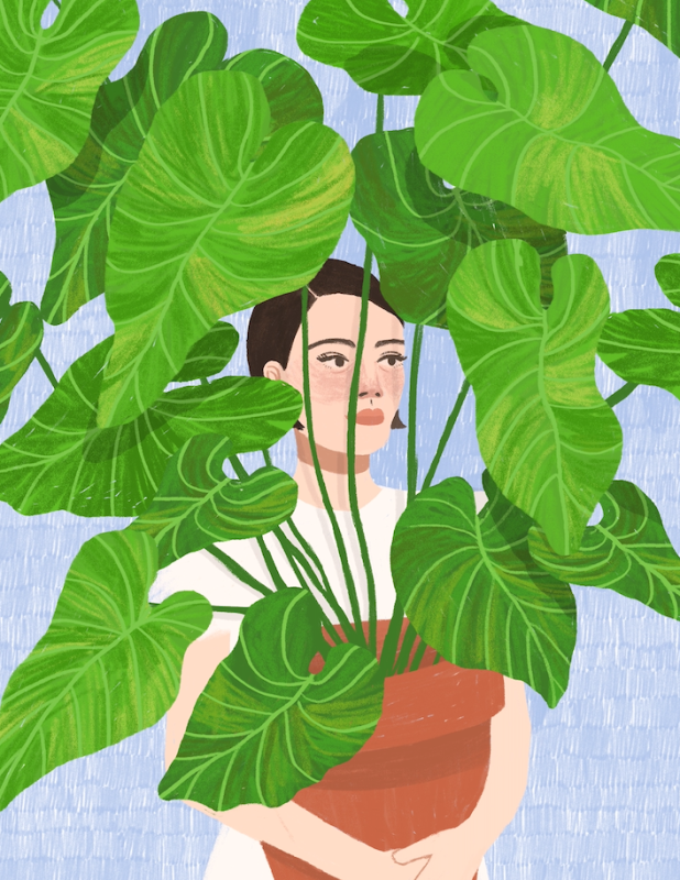 Greenery Hideout
