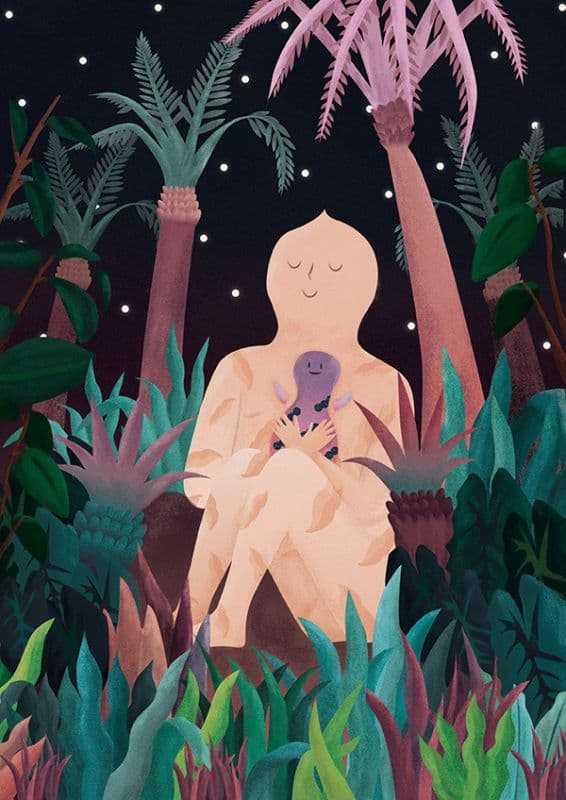 The Night Under the Stars