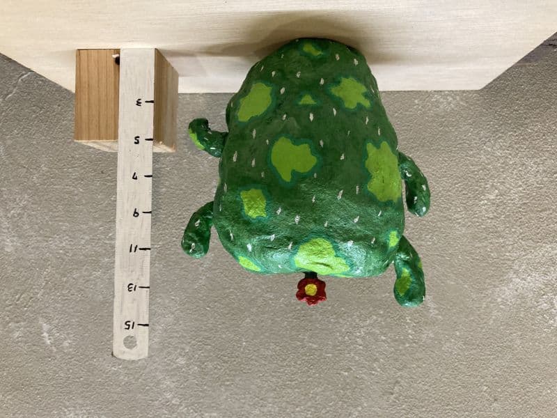 cactus 3