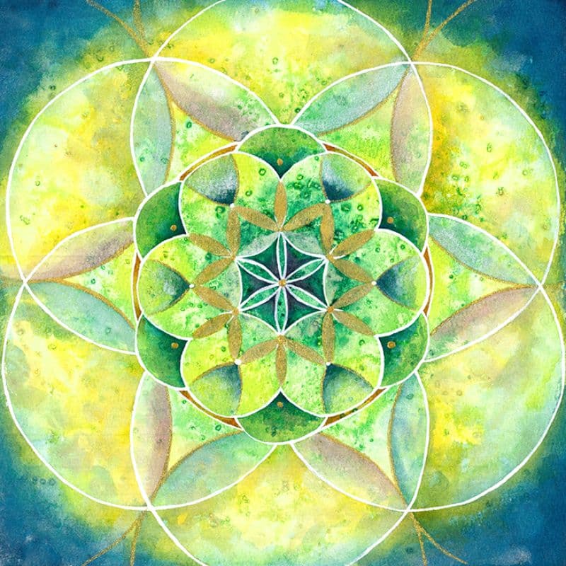 生命之花-16