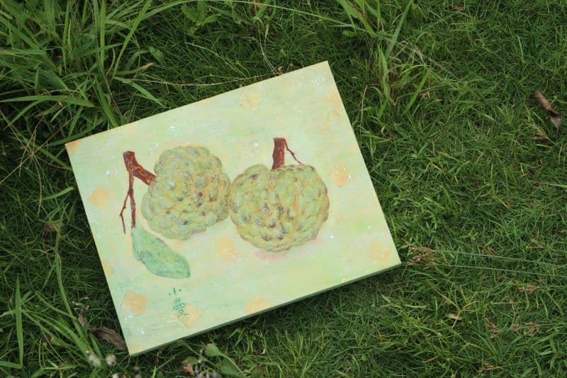 Sugar Apple | 釋 迦 4