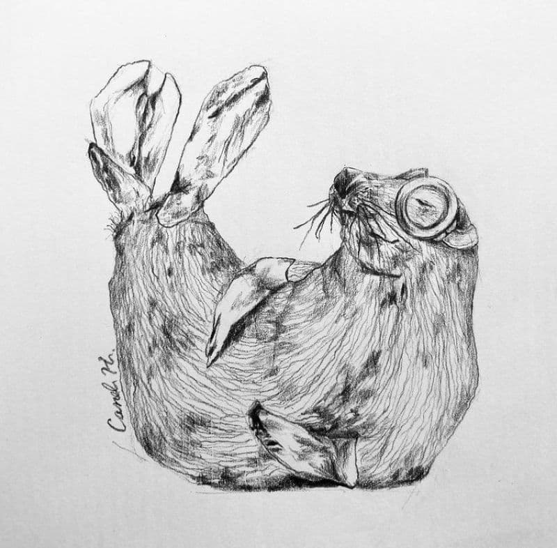 Seal minion/海豹小小兵