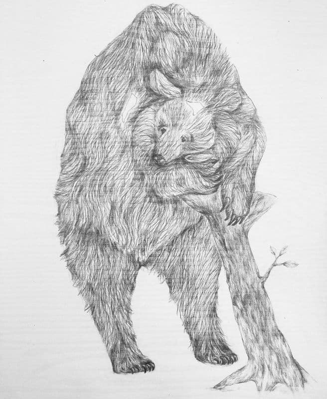 Blackbear Holding Trunk /抱著樹幹的黑熊