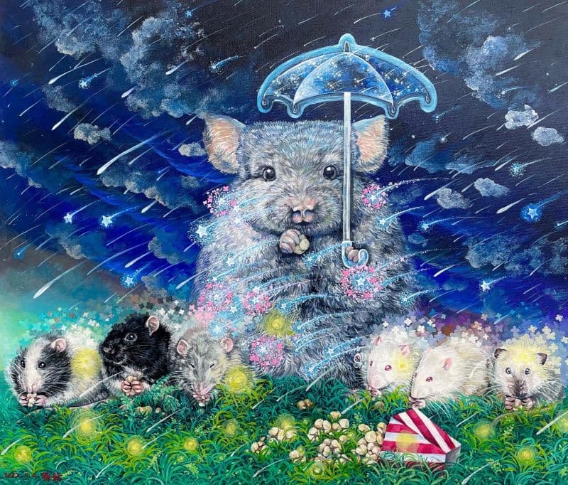 陪你去看流星雨