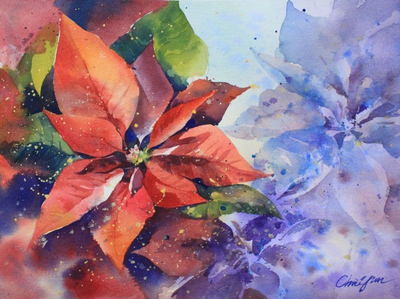 poinsettia