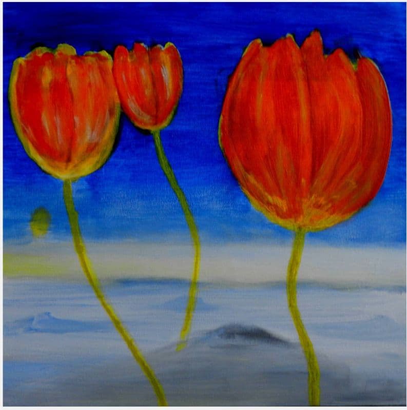Tulips 1