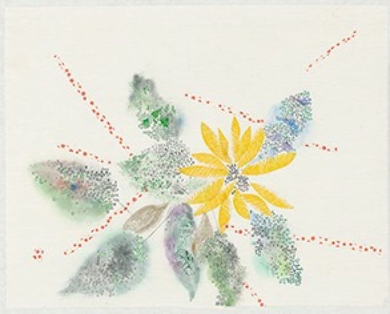今天花開了 Today, the Flowers Have Bloomed