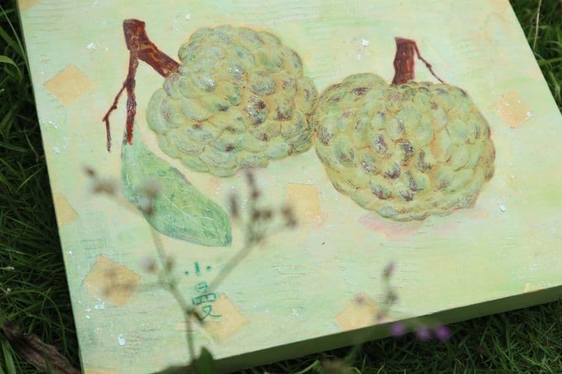 Sugar Apple | 釋 迦 5