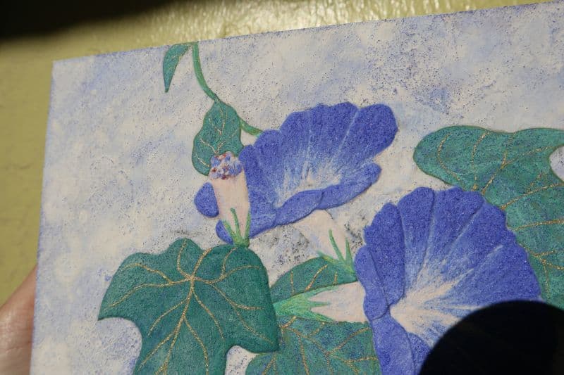 The Morning Glories II |朝顏 II 2