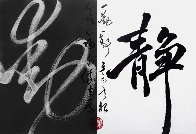 陰陽