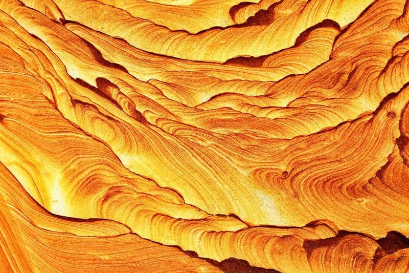 劉美智 的作品