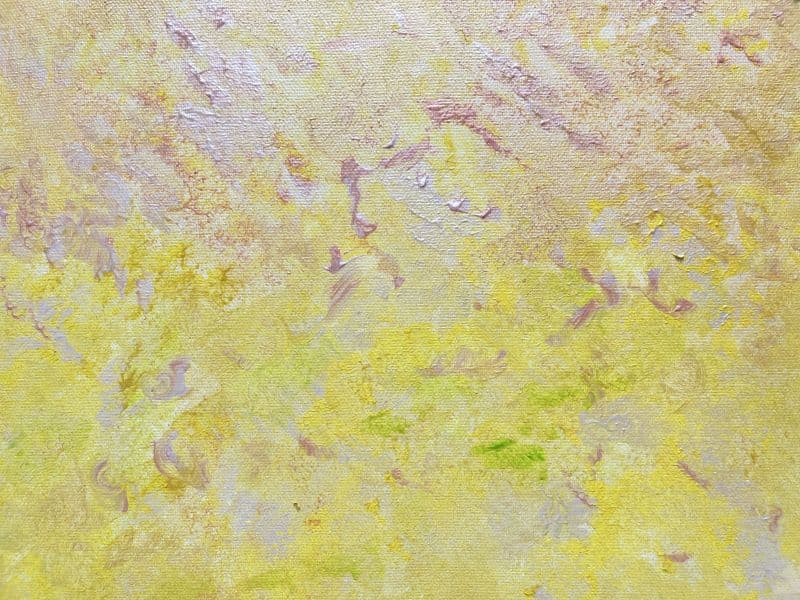 芙蓉清風.The Breeze of the Waterlily