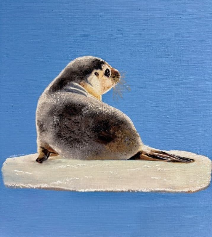 嗨!慢一點Baby seal  - 世界顛沛流離,你一定要找到自己 2