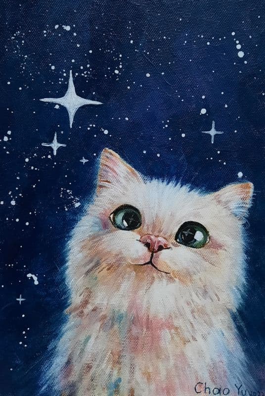 想要最大的星星 1