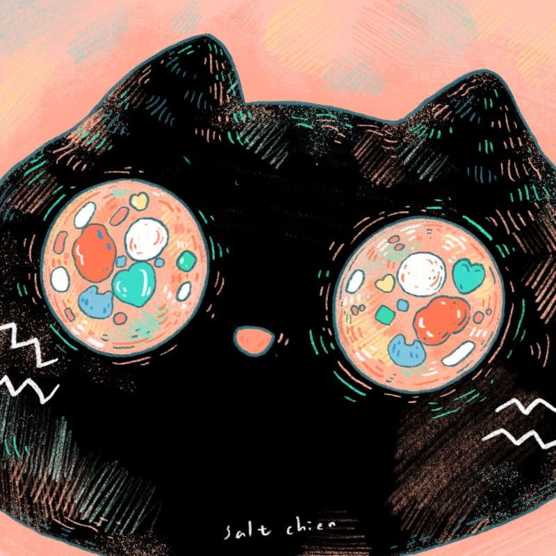 貓貓是世界上最美好的事物