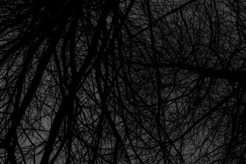 山形 Mountain shape