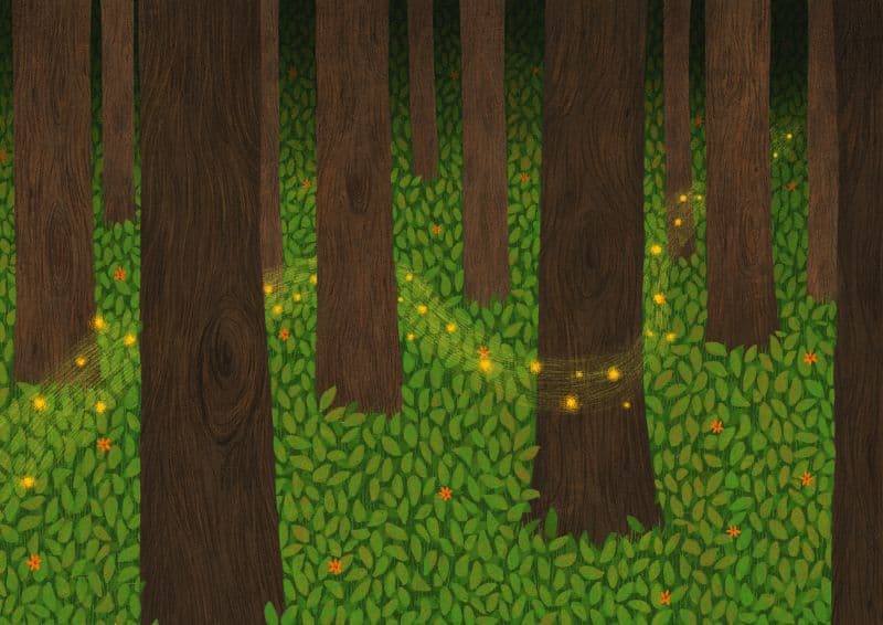 Forest Singers 3