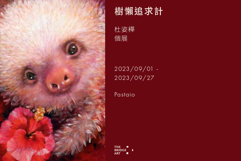 樹懶追求計